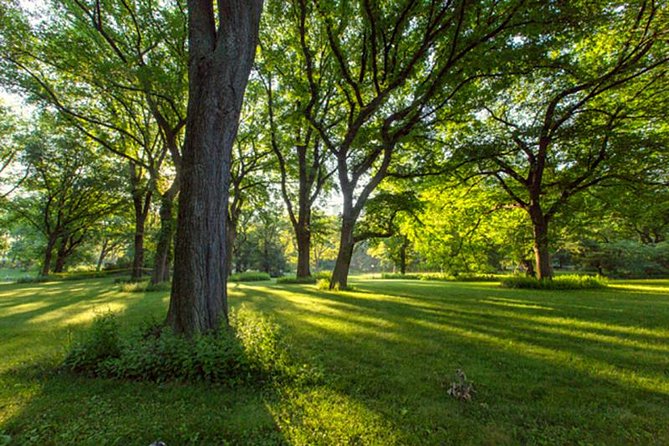 Central Park Guided Walking Tour - Should you book this Central Park guided walking tour?
