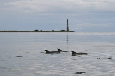 Charleston Eco Boat Cruise with stop at Morris Island Lighthouse - The calm ride on a Carolina Skiff (and why it matters)