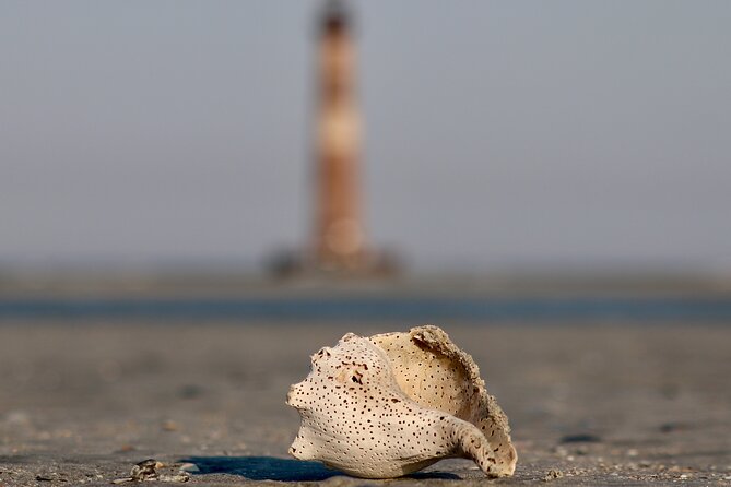 Charleston Eco Boat Cruise with stop at Morris Island Lighthouse - Weather, wind, and packing: how to stay comfortable