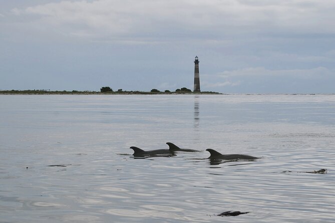 Charleston Eco Boat Cruise with stop at Morris Island Lighthouse - The calm ride on a Carolina Skiff (and why it matters)
