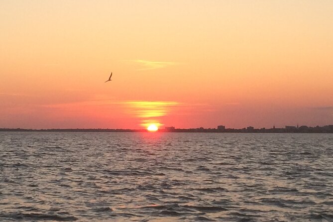Charleston Harbor Sunset Cruise - Drinks, Comfort, and What to Bring