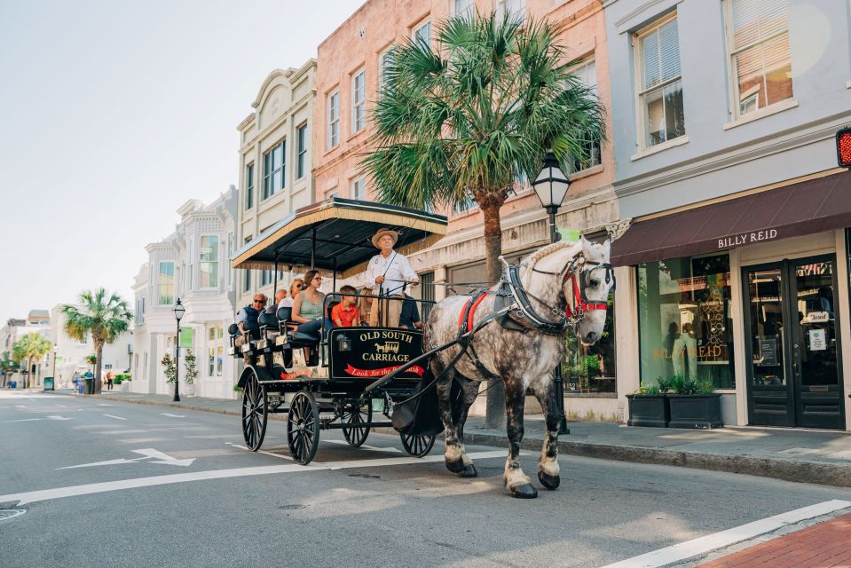Charleston: Historical Downtown Tour by Horse-drawn Carriage - Key moments you’ll remember