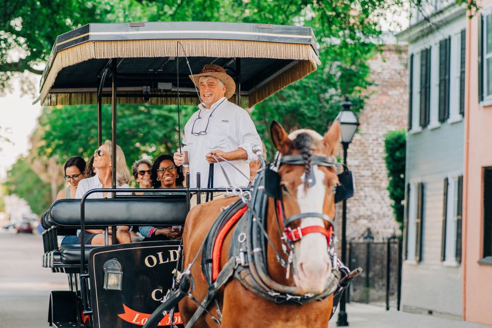 Charleston: Historical Downtown Tour by Horse-drawn Carriage - Price and timing: what $50 buys you for an hour