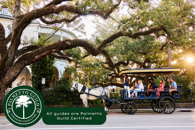 Charleston Horse-Drawn Carriage Tour: Explore Historic Charleston - What you actually see: City Market gate, palmetto streets, and about 30 blocks