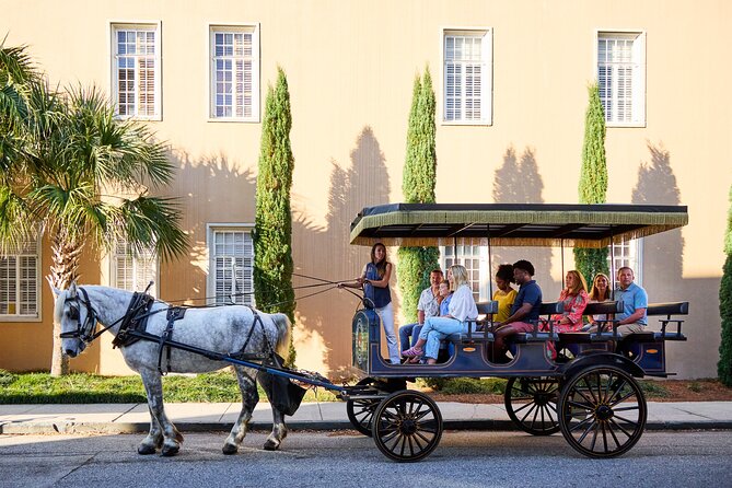 Charleston Horse-Drawn Carriage Tour: Explore Historic Charleston - Horses up close: calm handling and why it changes the tone