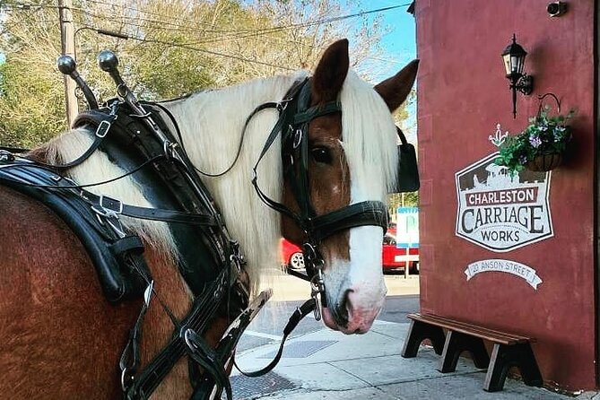 Charleston's Historic Residential Horse and Carriage Tour - Key Things I’d Pay Attention To