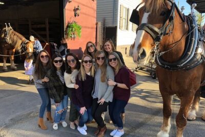 Charleston's Historic Residential Horse and Carriage Tour - Meeting Your Horse: The Part That Changes the Whole Tour