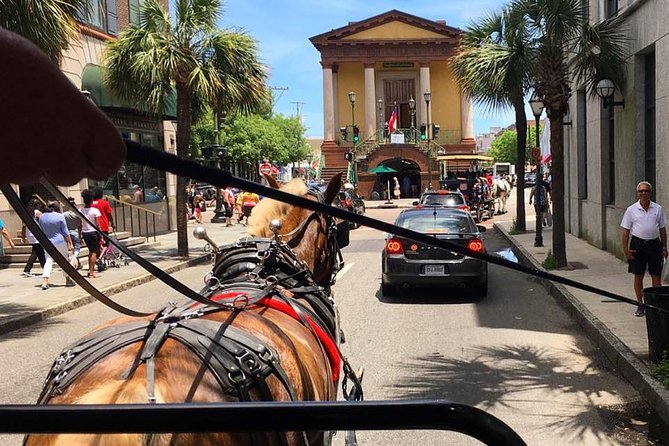 Charleston’s Old South Carriage Historic Horse & Carriage Tour - What you see: churches, wrought-iron gates, gardens, and piazzas