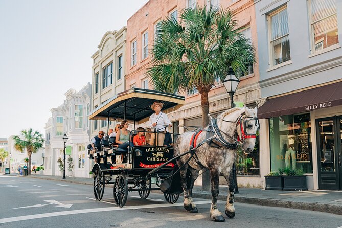 Charleston’s Old South Carriage Historic Horse & Carriage Tour - Timing, comfort, and what to wear on a one-hour horse tour
