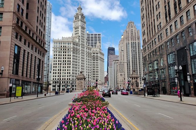 Chicago City Tour with Architecture River Cruise Option - Lincoln Park and the neighborhoods between classic calm and nightlife