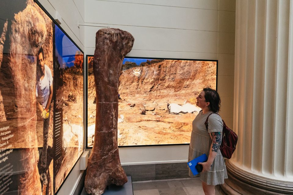 Chicago: Field Museum of Natural History Ticket or VIP Tour - Key Highlights Worth Your Attention