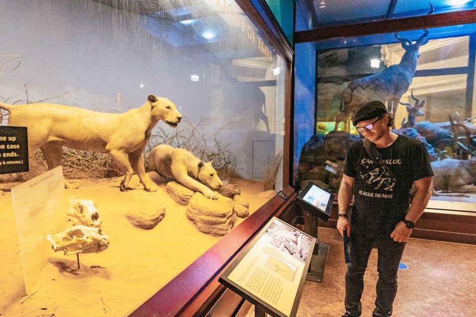 Chicago: Field Museum of Natural History Ticket or VIP Tour - Small Practical Notes That Make the Visit Easier