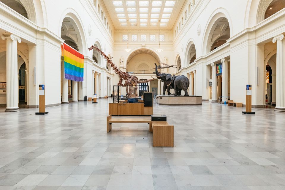 Chicago: Field Museum of Natural History Ticket or VIP Tour - What You’re Really Buying: Ticket vs Early Access VIP vs All-Access