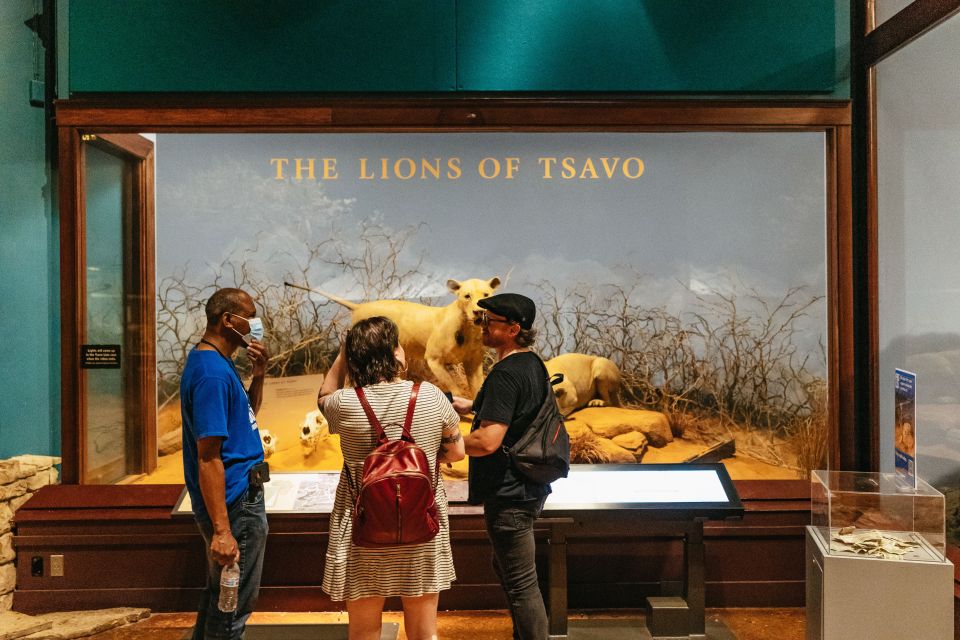 Chicago: Field Museum of Natural History Ticket or VIP Tour - Sue, Maximo, and the Dinosaur Hall Evolving Planet