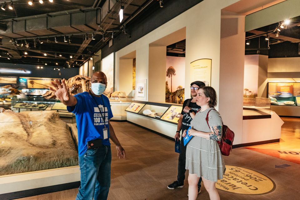 Chicago: Field Museum of Natural History Ticket or VIP Tour - The Underground Adventure, Hall of Gems, and Hall of Jades