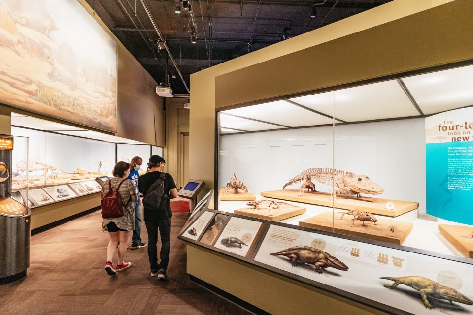 Chicago: Field Museum of Natural History Ticket or VIP Tour - Ancient Americas: Mammoth Hunters and the Temples of Inca and Aztecs