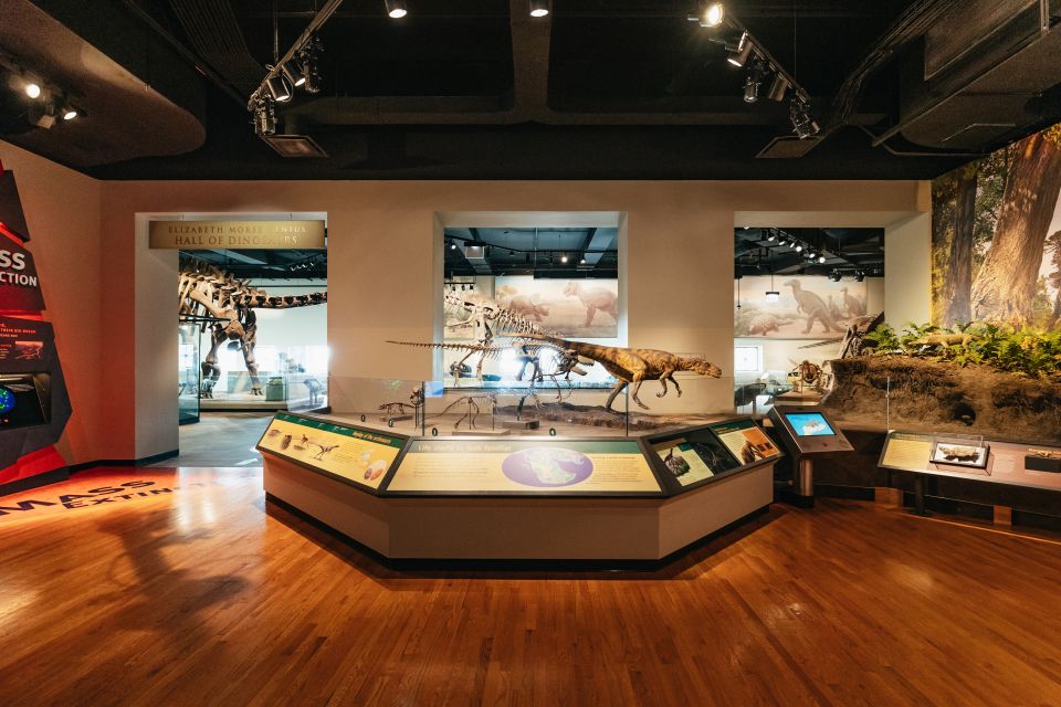Chicago: Field Museum of Natural History Ticket or VIP Tour - How the All-Access Pass Changes Your Day (and Your Timing)