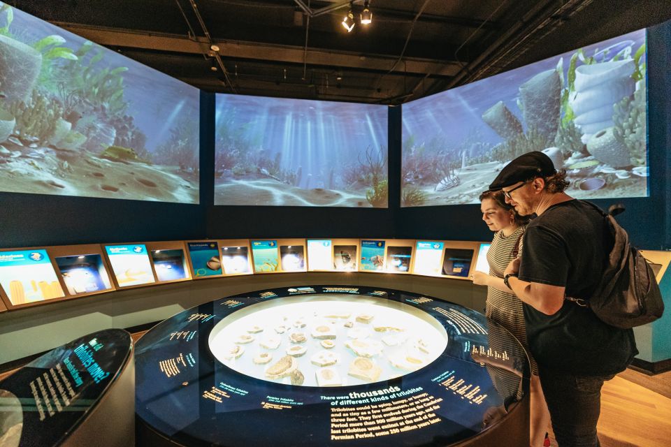 Chicago: Field Museum of Natural History Ticket or VIP Tour - The One-Day Challenge: Crowds, Pacing, and What to Prioritize