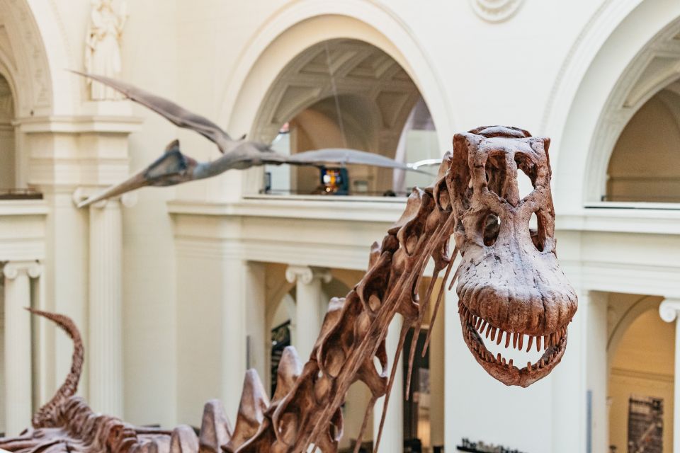 Chicago: Field Museum of Natural History Ticket or VIP Tour - A Dinosaur Morning That Feels Like a Private Museum (Early Access VIP)