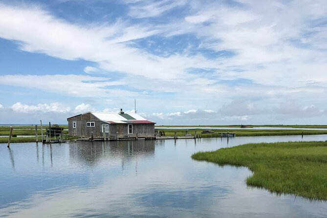 Chincoteague's Up The Bay Pony and Wildlife Tour by Boat - Price and Value: Is $75 Worth It?