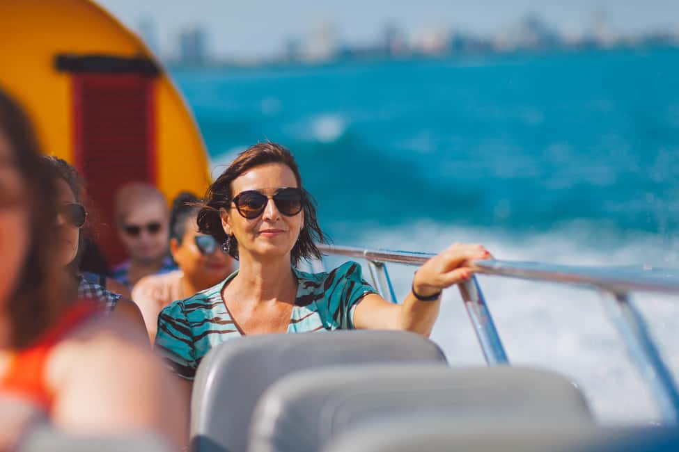 City Cruises Chicago: Seadog Lakefront Speedboat Ride - Museum Campus to Magnificent Mile: the guided architecture lesson on the move