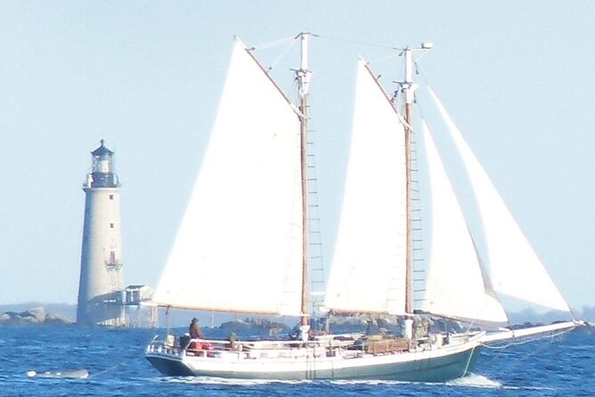Classic Tall Ship Cruise in Boston Harbor - Bring a Bagged Lunch, Then Hang Out With Onboard Food and Drinks