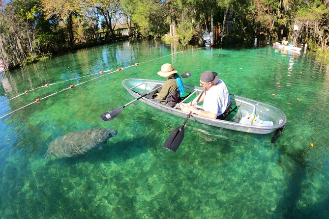 Clear Kayak Manatee Ecotour of Crystal River - Crystal River From Under the Kayak: Why This Tour Works