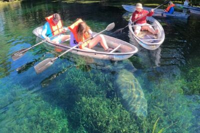 Clear Kayak Manatee Ecotour of Crystal River - Price and Logistics: What You’ll Actually Pay