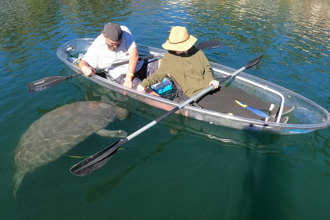Clear Kayak Manatee Ecotour of Crystal River - Guide Style: The Real Difference Between a Good Trip and a Great One
