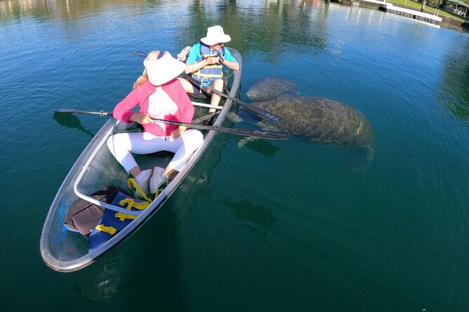 Clear Kayak Manatee Ecotour of Crystal River - What About Parking, Check-In Timing, and Hidden Hassles?