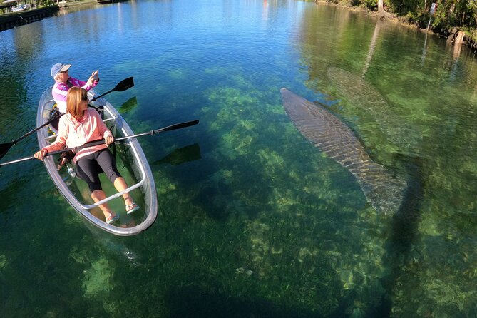 Clear Kayak Manatee Ecotour of Crystal River - Will You Get Wet? What to Wear for a Clear Kayak