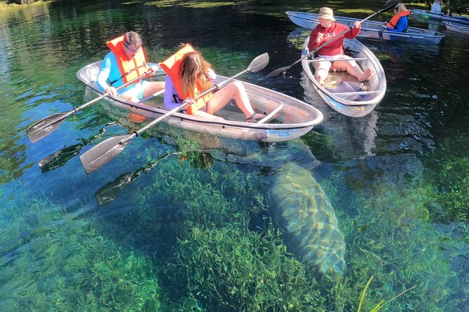 Clear Kayak Manatee Ecotour of Crystal River - Price and Logistics: What You’ll Actually Pay