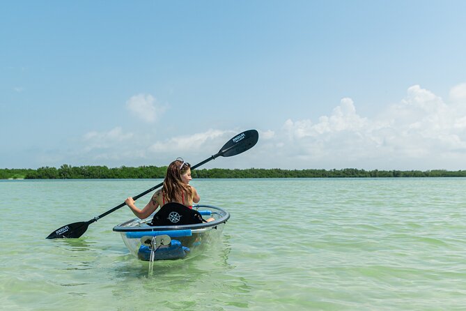 Clear Kayak Tour of Shell Key Preserve and Tampa Bay Area - Clear Kayaks Over Tampa Bay: What You Get That Regular Kayaks Don’t