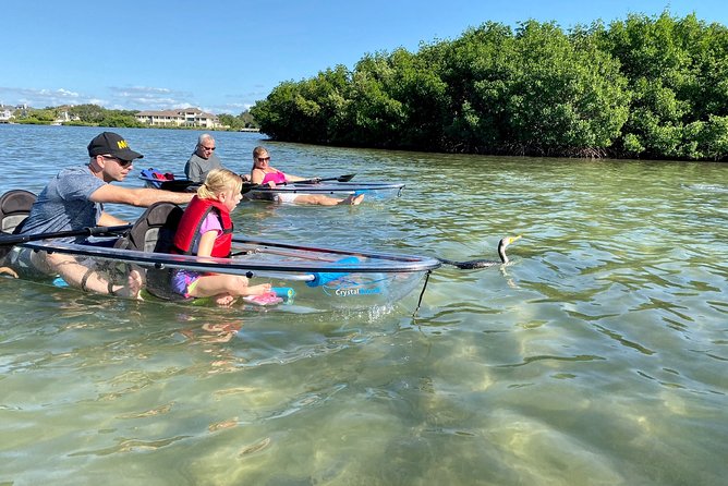 Clear Kayak Tour of Shell Key Preserve and Tampa Bay Area - Stop 1 at Shell Key: Shells, Sandbars, and Wildlife by Season