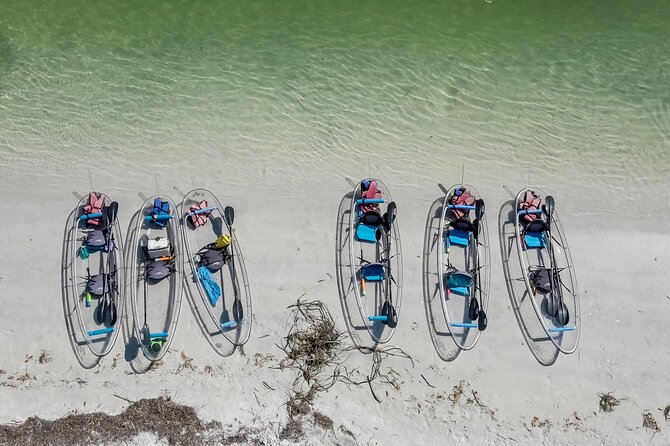 Clear Kayak Tour of Shell Key Preserve and Tampa Bay Area - How Hard Is the Paddling Really? Wind, Arms, and Group Size