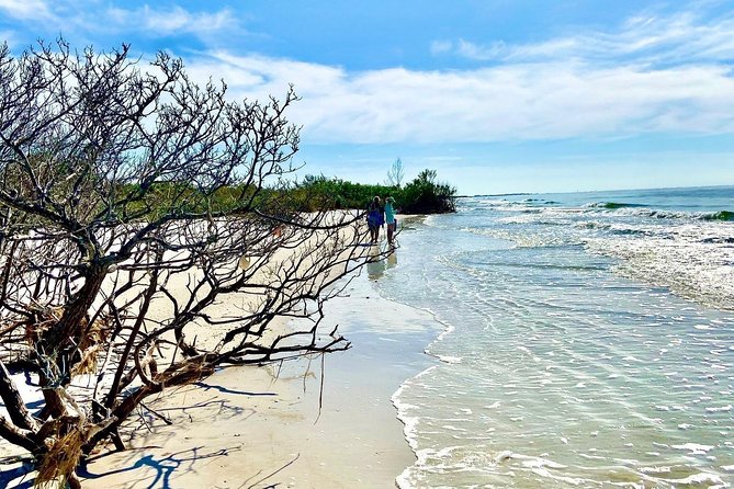 Clear Kayak Tour of Shell Key Preserve and Tampa Bay Area - Price and Value: Is $79 Worth It?
