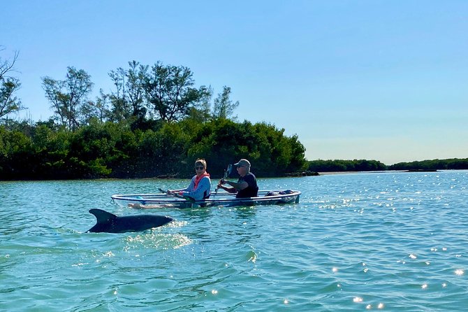Clear Kayak Tour of Shell Key Preserve and Tampa Bay Area - What to Bring and Wear for a Comfy, Water-Friendly Day