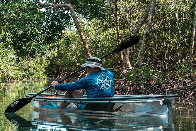 Clear Kayak Tours in Fort Pierce - Quick Reasons This Tour Gets Such Strong Ratings