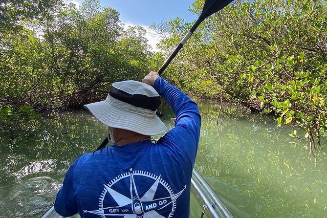 Clear Kayak Tours in Fort Pierce - From Shorebirds to Backcountry: What Makes Fort Pierce Feel Special