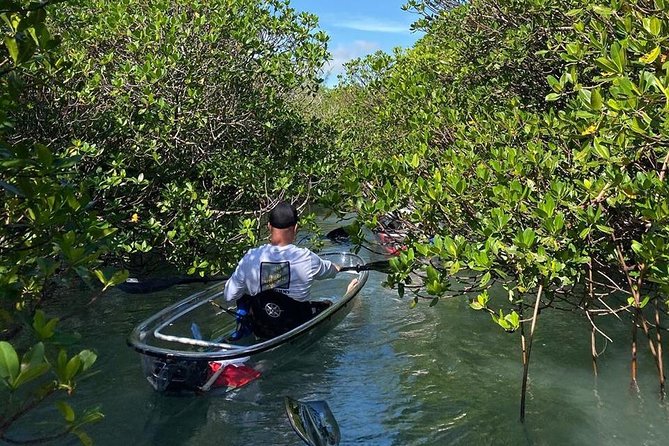 Clear Kayak Tours in Fort Pierce - Phase 2: The Main Paddle for Turtles, Dolphins, Manatees, and Birds