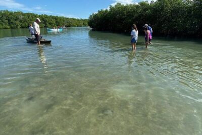 Clear Kayak Tours in Fort Pierce - Phase 1: Sliding Through Winding Mangrove Tunnels and Photo Stops