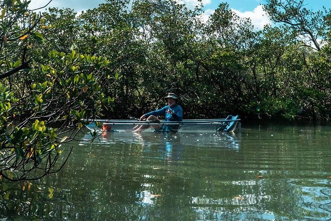 Clear Kayak Tours in Fort Pierce - Comfort, Fitness, and the Real Limits You Should Know