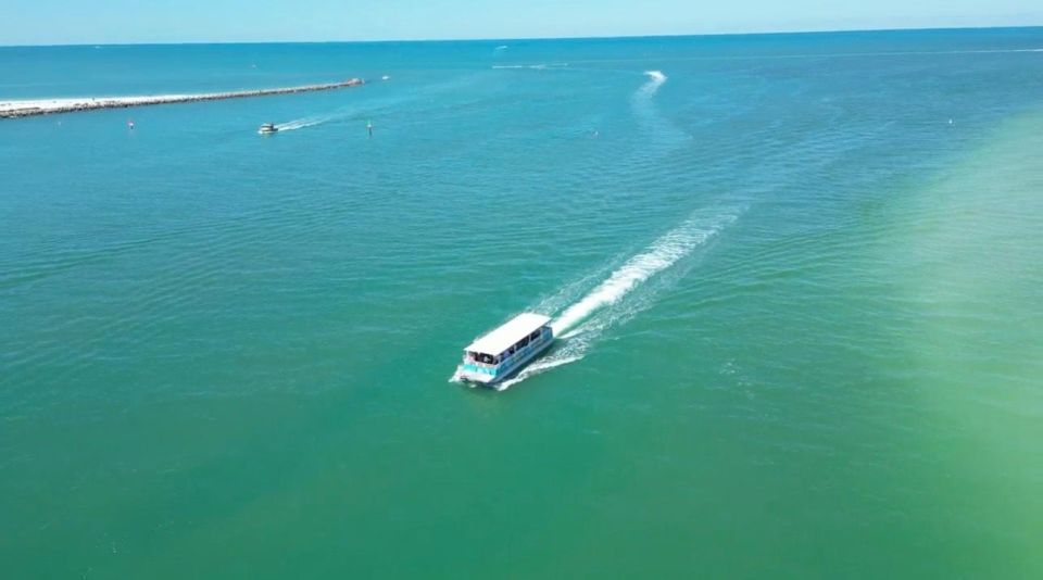 Clearwater Beach: Dolphin & Island Sandbar Cruise - Key takeaways before you go