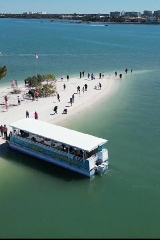 Clearwater Beach: Dolphin & Island Sandbar Cruise - Getting started at 25 Causeway Blvd without wasting time