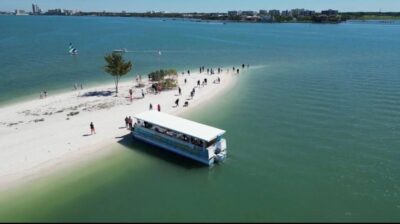 Clearwater Beach: Dolphin & Island Sandbar Cruise - One-Tree Island: your first taste of Gulf water and views