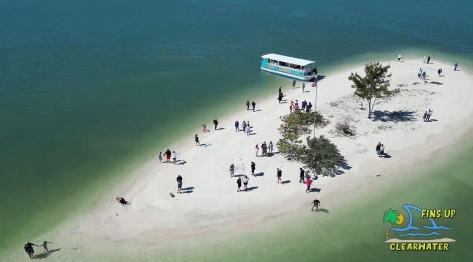 Clearwater Beach: Dolphin & Island Sandbar Cruise - Island Sandbar swimming: clear water, soft sand, and sharp reality