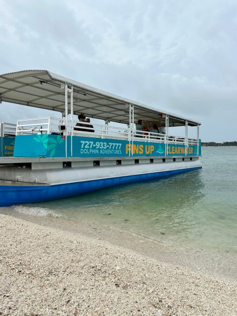 Clearwater Beach: Dolphin & Island Sandbar Cruise - Price and value: why $28 can feel like a win