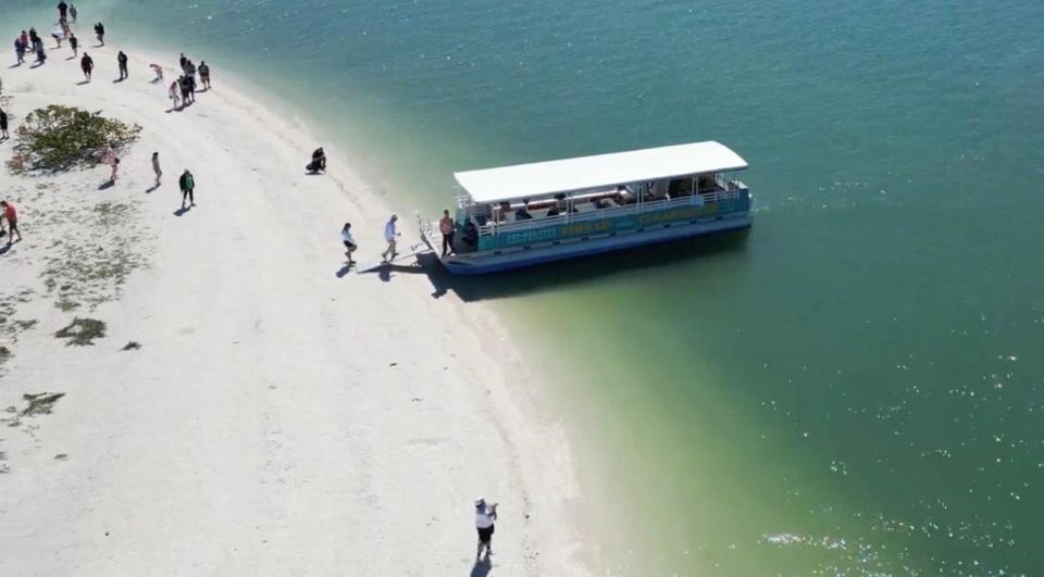 Clearwater Beach: Dolphin & Island Sandbar Cruise - Should you book Fins Up Clearwater?