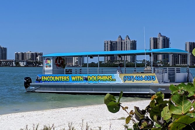 Clearwater Encounters with Dolphins Tour - Price and value: is $35.67 worth it in Clearwater?