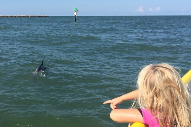 Clearwater Encounters with Dolphins Tour - Onboard experience: the harbor cruise and captain commentary